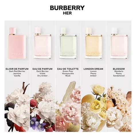 burberry her perfume size comparison|burberry her perfume chemist warehouse.